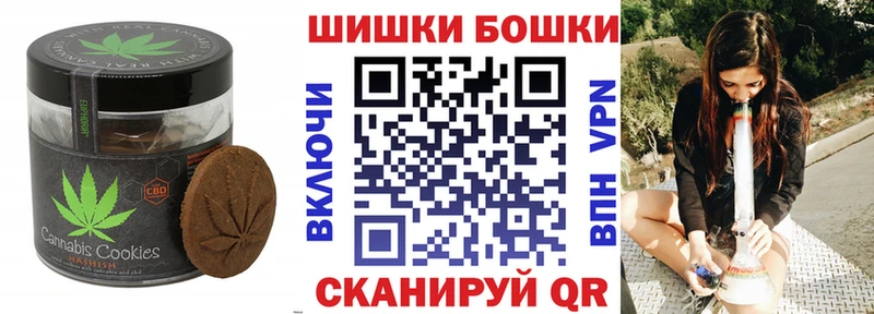 наркота  ссылка на мегу маркетплейс  Печенье с ТГК марихуана  Дагестанские Огни 