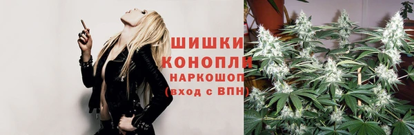 ГАЛЛЮЦИНОГЕННЫЕ ГРИБЫ Горнозаводск