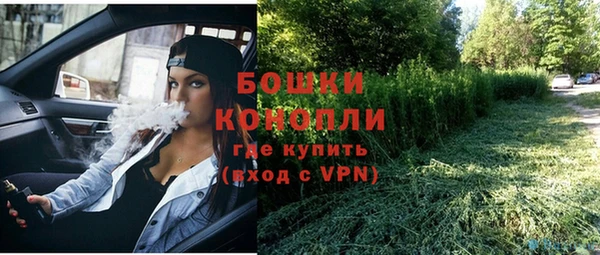 прущая мука Горняк
