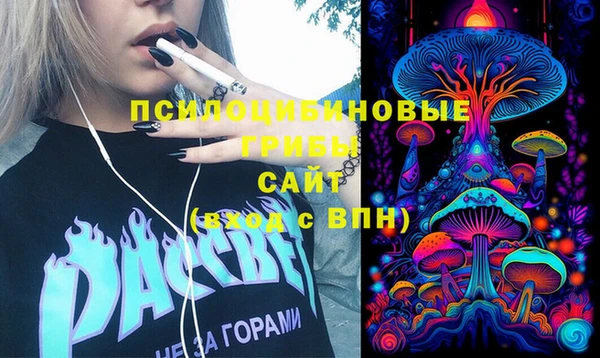 ALPHA-PVP Вяземский