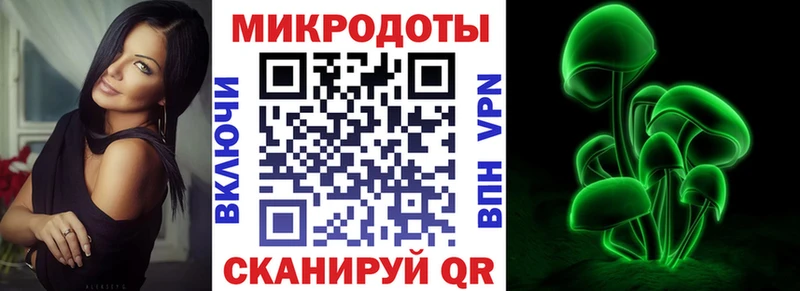 Галлюциногенные грибы Psilocybine cubensis  купить   Дагестанские Огни 