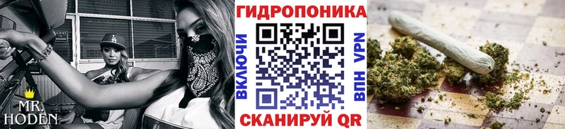 МАРИХУАНА конопля  Дагестанские Огни 
